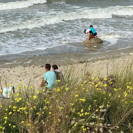 Rural Entre Terre Et Widehem